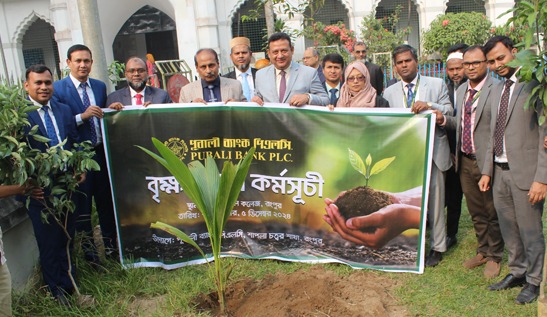 রংপুর কারমাইকেল কলেজে পুবালী ব্যাংকের বৃক্ষরোপণ কর্মসুচী পালন