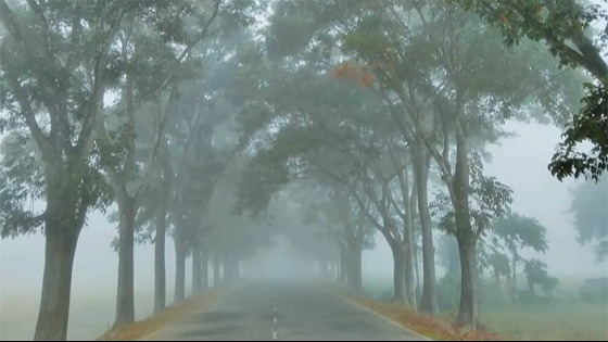 দিনাজপুরে তীব্র শীত: তাপমাত্রা ১০ ডিগ্রিতে