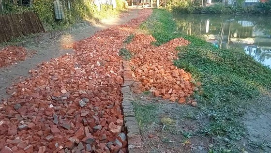 রাস্তা নির্মাণে নিম্নমানের ইট ব্যবহার, এলাকাবাসীর চাপে কাজ বন্ধ