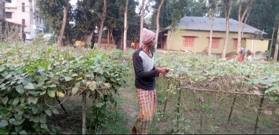 দিঘলিয়ার ইব্রাহিম সরদার সবজি চাষে সফল