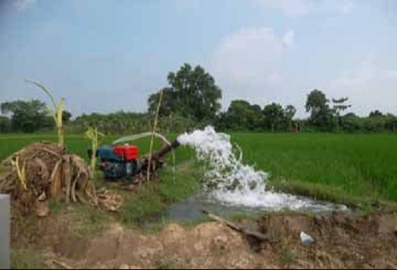 দৌলতপুরে ৬টি স্যালোমশেনি চুরি