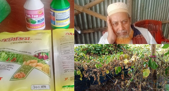 নকল কীটনাশক বাজারজাতকরণের বিরুদ্ধে অভিযোগ