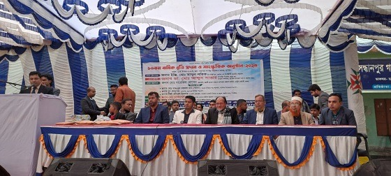 ঘাটাইলে বৃত্তি প্রদান, আলোচনা সভা