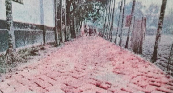 সৈয়দপুরে রাস্তার কাজে ব্যবহার করা হচ্ছে  নিম্নমানের ইট