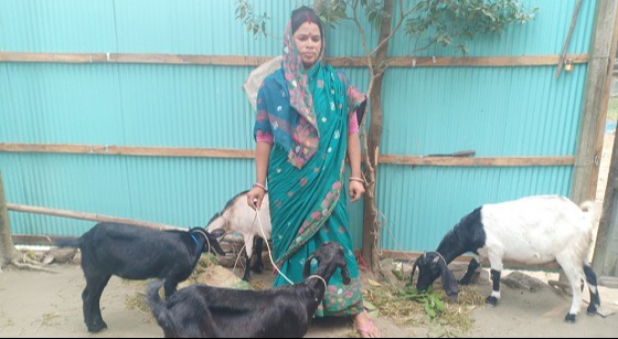 ছাগল পালন করে স্বাবলম্বী আদুরী রানী
