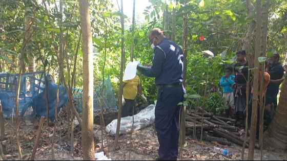 শ্যামনগরে চার মাস পর কবর থেকে গৃহবধুর মরদেহ উত্তোলন