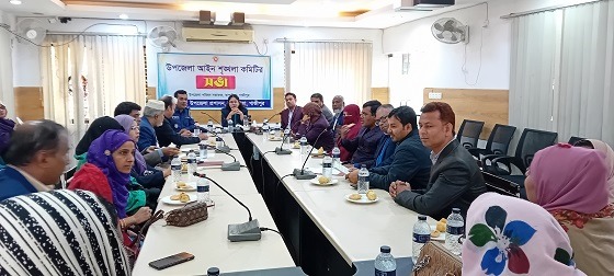 কাপাসিয়ায় আইন শৃঙ্খলা কমিটির সভা