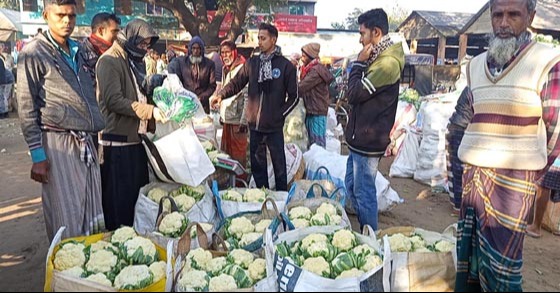 কমেছে সবজি-পেঁয়াজের দাম, শঙ্কায় কৃষক