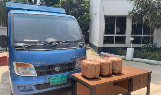 কুমিল্লায় ১৫ কেজি গাঁজাসহ কাভার্ডভ্যান আটক