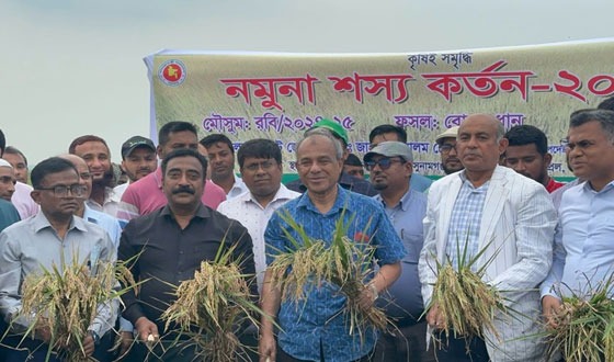 হাওরের কোন বাঁধ নিয়ে সমস্যা হলে সেই প্রকৌশলীর সমস্যা হবে: কৃষি উপদেষ্টা