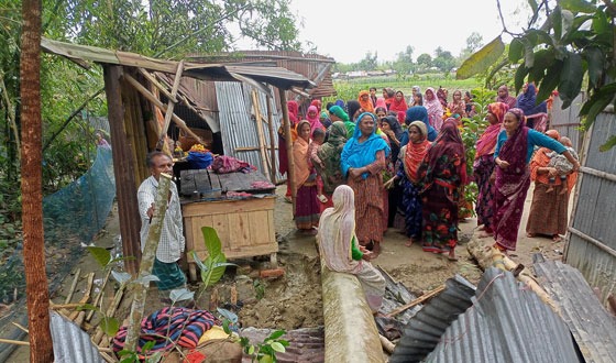ফুলবাড়ীতে ঝড়ে ঘরের উপর গাছ পড়ে বৃদ্ধার মৃত্যু