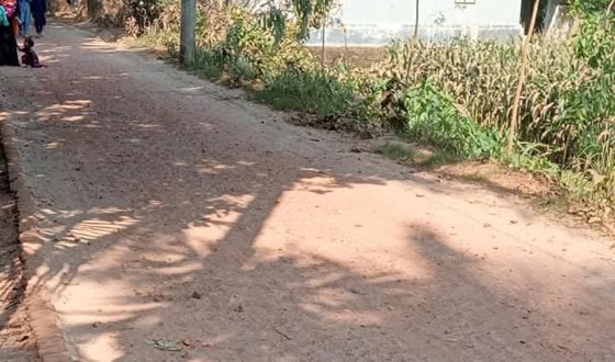 বাজিতপুরে আখড়া- বলিয়ার্দী ২ কিলোমিটার রাস্তার বেহাল অবস্থা