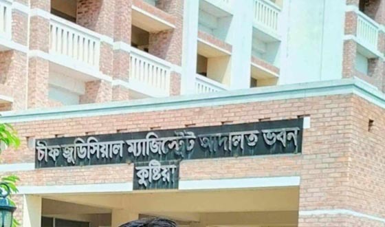 দৌলতপুরে মহিষ লুটের মামলায় বিএনপির ১১ নেতাকর্মী কারাগারে