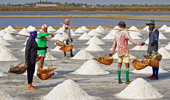 ক্রমাগত লোকসানে পেশা ছেড়ে দিচ্ছেন লবণচাষীরা