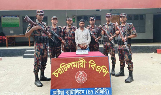 দৌলতপুর সীমান্তে ১২ পিস স্বর্ণের বারসহ আটক ১