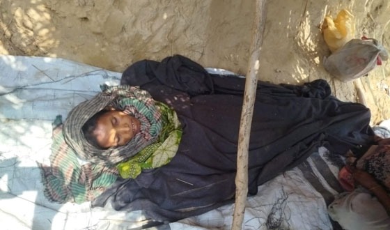 চকরিয়ায় বন্যহাতির আক্রমনে নারী নিহত