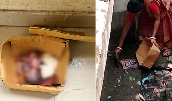 চান্দিনা উপজেলা স্বাস্থ্য কমপ্লেক্সের আঙ্গিনায় নবজাতকের মরদেহ