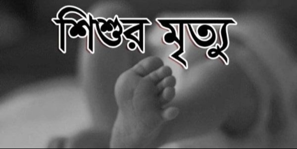 হাইমচরে পুকুরে ডুবে দুই শিশুর মৃত্যু
