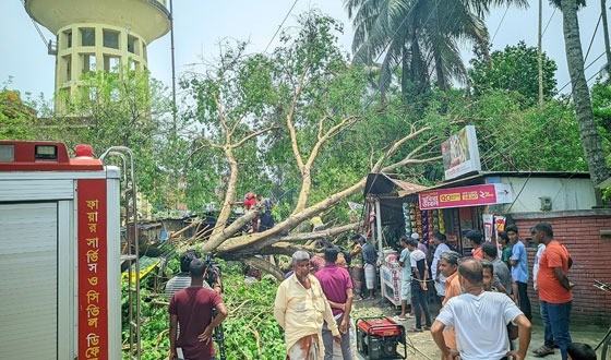রংপুরে কালবৈশাখী ঝড়ে তছনছ বাড়িঘর, ফসলের ব্যাপক ক্ষতি