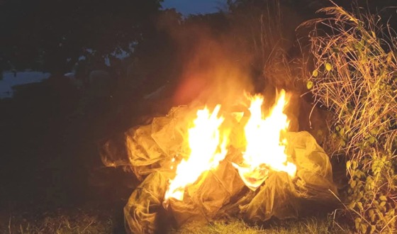 চাটমোহরে চায়নাদুয়ারি জাল জব্দ ও পুড়িয়ে ধ্বংস