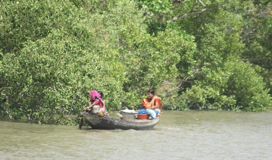 তিন মাস সুন্দরবনে মাছ ধরা বন্ধ , দুশ্চিন্তায় জেলে পরিবার