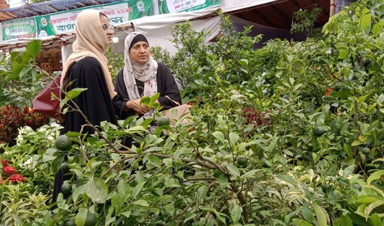 চট্টগ্রাম লালদিঘীর মাঠে শুরু হয়েছে বৃক্ষমেলা