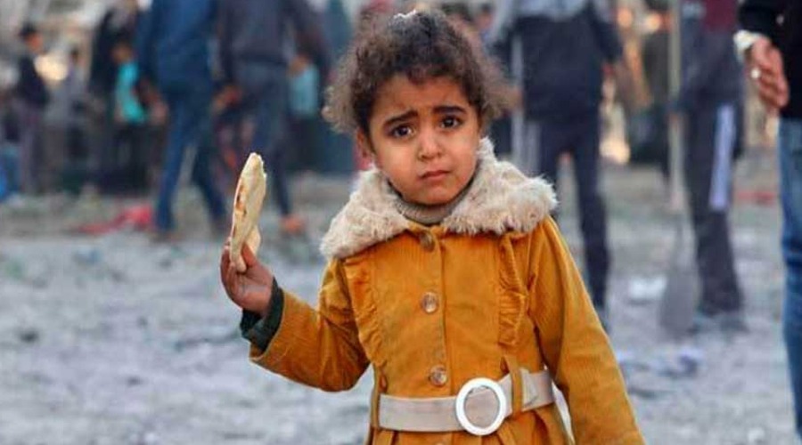 খাদ্য সংগ্রহ করতে গিয়ে প্রাণ হারালেন, ৬২ ফিলিস্তিনি