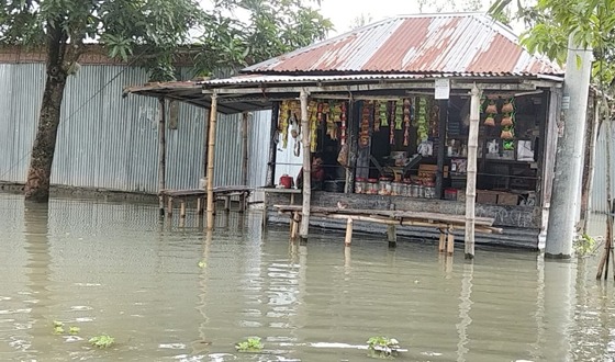 তিস্তার পানি কমলেও দুর্ভোগ কমেনি প্লাবিত অঞ্চলের মানুষের