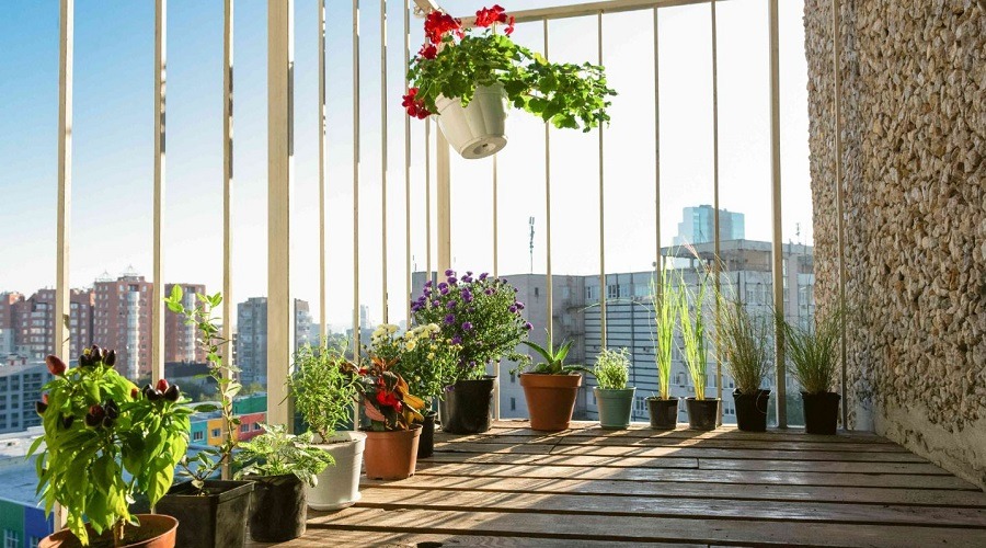 আপনার বারান্দা সাজানোর পাঁচ টিপস