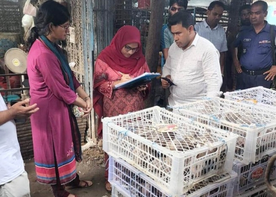 বাঘায় ২০০ বন্য ঘুঘু পাখি অবমুক্ত, দুই ক্রতোর জরমিানা