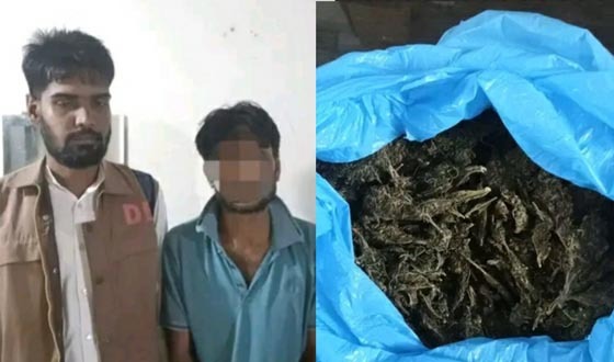 ইন্দুরকানিতে বিশেষ অভিযানে ১কেজি গাঁজাসহ গ্রেফতার যুবক