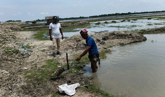 কয়রায় লবন পানি উত্তোলনের অবৈধ পাইপ অপসারণ
