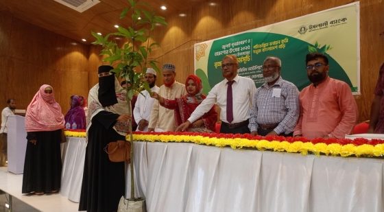 কাপাসিয়ায় ইসলামী ব্যাংকের গ্রাহকদের মাঝে আম চারা বিতরণ