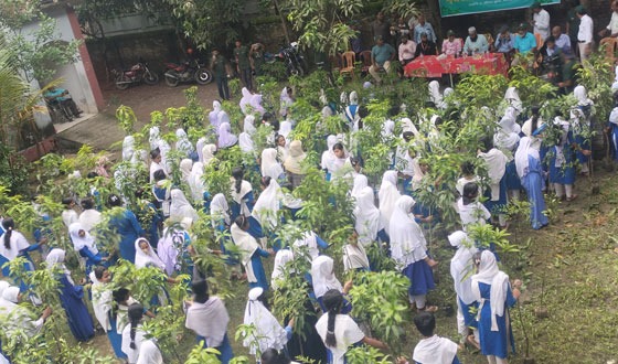 সবুজ স্বপ্নে ভরা হাত-সাতক্ষীরায় শিক্ষার্থীদের বৃক্ষরোপণ উৎসব