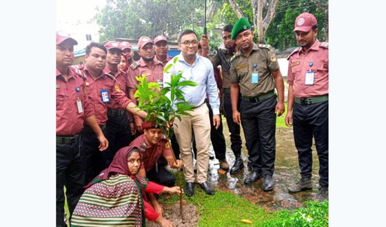 পলাশবাড়ীতে ডেঙ্গু রোগের প্রতিকার ও পরিস্কার-পরিচ্ছন্নতা অভিযান