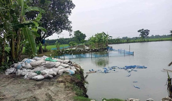 রাস্তার পাশে পোল্ট্রি বিষ্ঠা ও বর্জ্য রাখায় দূর্গন্ধে অতিষ্ঠ পথচারিরা