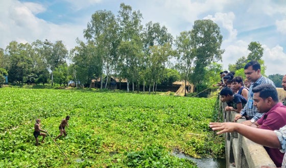 খানসামায় কচুরিপানার জট কাটল স্বস্তি এলাকাবাসীর