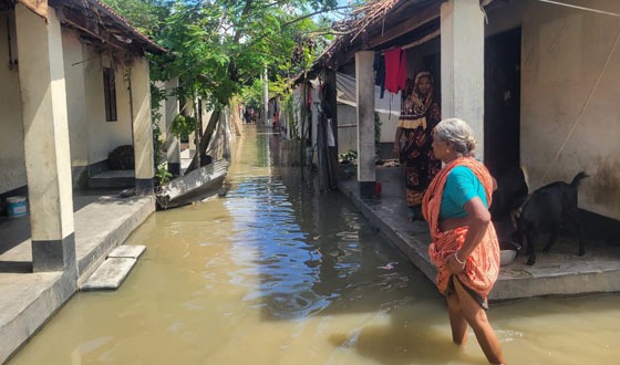 বাঘায় বন্যায় আশ্রয়ন প্রকল্পের ৭৬ পরিবার পানিবন্দী