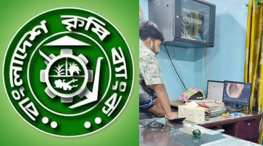 কৃষি ব্যাংকের ভল্ট ভেঙে ১৬ লাখ টাকা চুরি