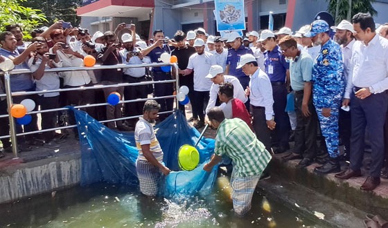 চাঁদপুরে মৎস্য সপ্তাহের উদ্বোধন করলেন জেলা প্রশাসক