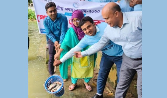 পোরশায় জাতীয় মৎস্য সপ্তাহ পালন