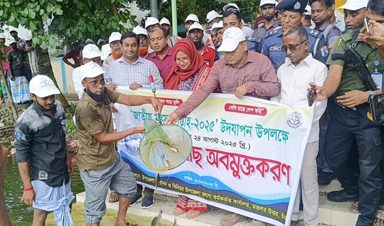 মতলবে জাতীয় মৎস্য সপ্তাহ-২০২৫ উদ্বোধন