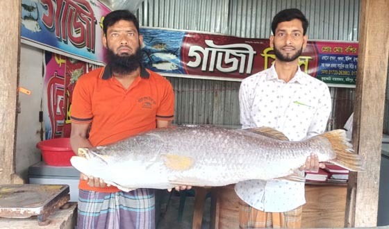 কুয়াকাটায় ২৪ কেজির কোরাল বিক্রি হলো ৩৬ হাজার টাকায়