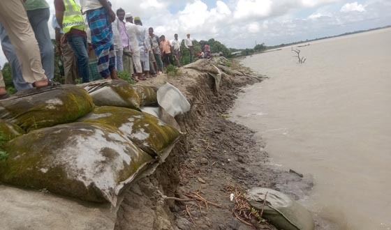 "ত্রাণ ও ভাত চাই না, টেকসই বাঁধ চাই": পাইকগাছায় ৪শ মিটার বেড়িবাঁধ হুমকিতে