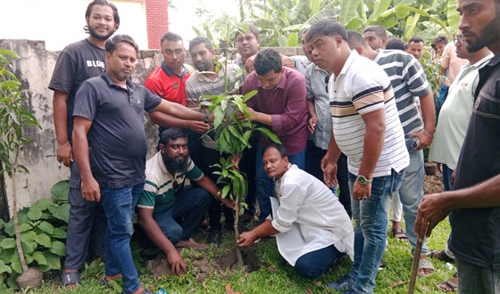 পীরগাছায় বৃক্ষ রোপন ও পরিষ্কার-পরিছন্নতা কর্মসূচী পালন