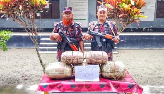 সীমান্তে ১৫ বিজিবি’র বিশেষ অভিযানে ২৫ কেজি ভারতীয় গাঁজা জব্দ