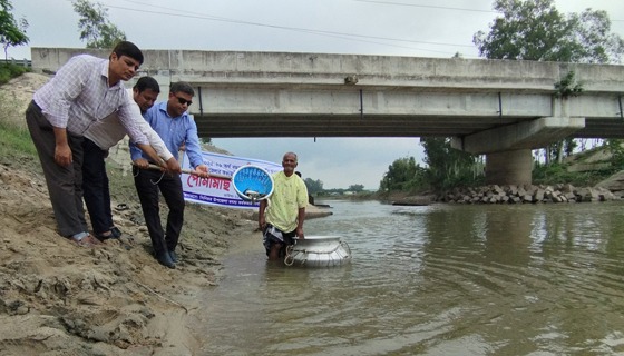 বীরগঞ্জে জলাশয়ে পোনামাছ অবমুক্তকরণ