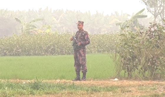 মেহেরপুর সীমান্তে বিএসএফের হাতে বাংলাদেশী আটক