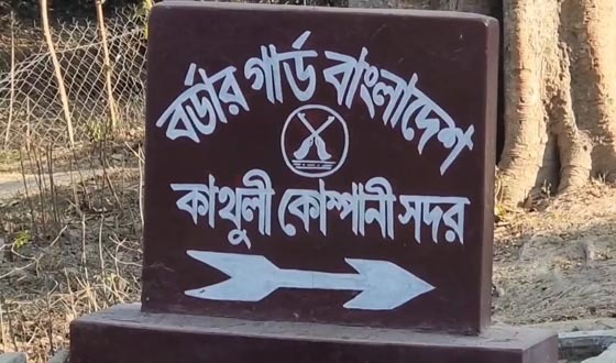 মেহেরপুর সীমান্তে আটক বাংলাদেশীকে ফেরত দিয়েছে বিএসএফ