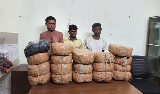 নিকলীতে ৩৬ কেজি গাঁজাসহ মাদক কারবারী আটক